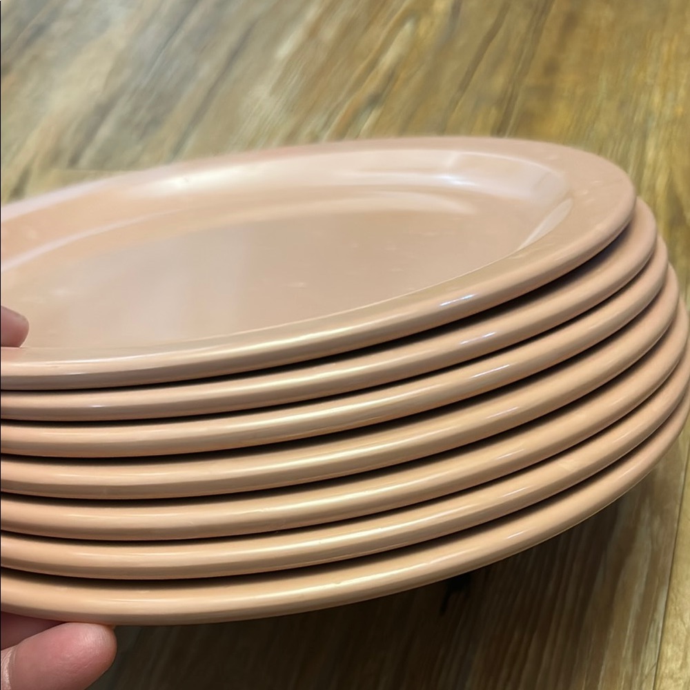 Texasware Set of 7 Pink Plates Vintage